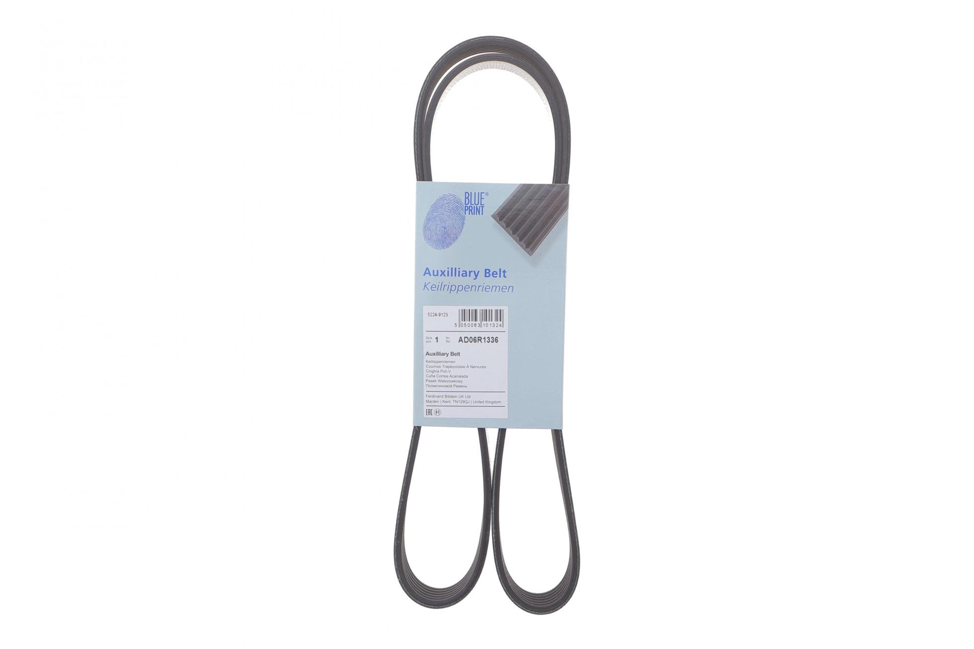 AD06R1336 BLUE PRINT
